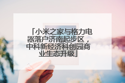 小米之家与格力电器落户济南起步区，中科新经济科创园商业生态升级