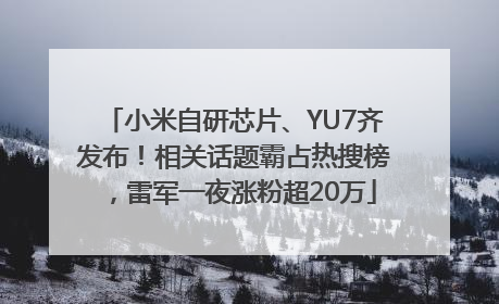 小米自研芯片、YU7齐发布！相关话题霸占热搜榜，雷军一夜涨粉超20万