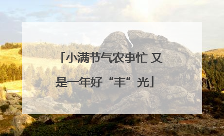 小满节气农事忙 又是一年好“丰”光