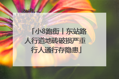 小8跑街丨东站路人行道地砖破损严重 行人通行存隐患
