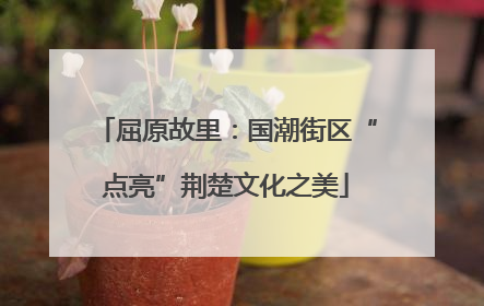 屈原故里：国潮街区“点亮”荆楚文化之美