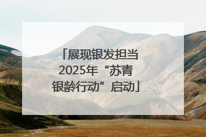 展现银发担当 2025年“苏青银龄行动”启动