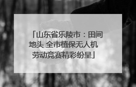 山东省乐陵市：田间地头 全市植保无人机劳动竞赛精彩纷呈