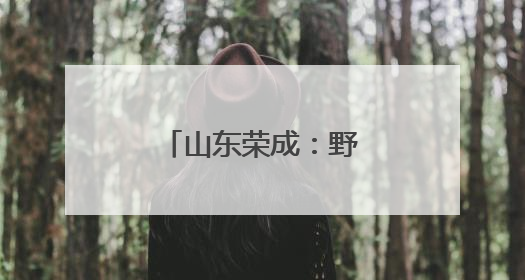 山东荣成：野生海参采捕忙