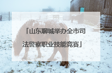 山东聊城举办全市司法警察职业技能竞赛