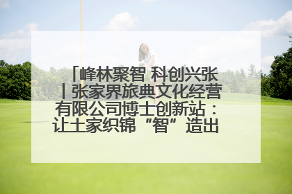 峰林聚智 科创兴张丨张家界旅典文化经营有限公司博士创新站：让土家织锦“智”造出非遗新传奇