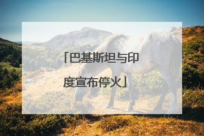巴基斯坦与印度宣布停火