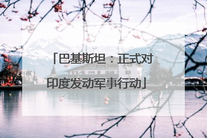 巴基斯坦：正式对印度发动军事行动