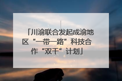 川渝联合发起成渝地区“一带一路”科技合作“双千”计划