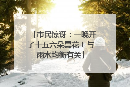 市民惊讶：一晚开了十五六朵昙花！与雨水均衡有关