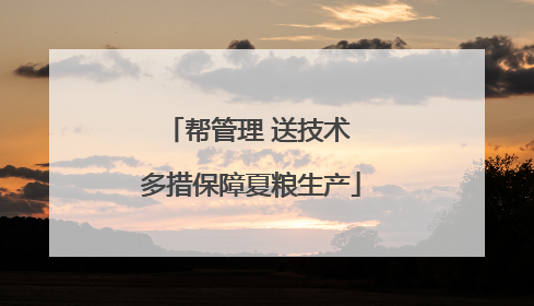 帮管理 送技术 多措保障夏粮生产