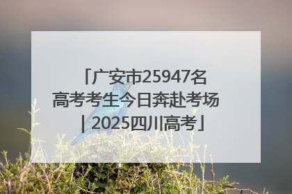 广安市25947名高考考生今日奔赴考场｜2025四川高考