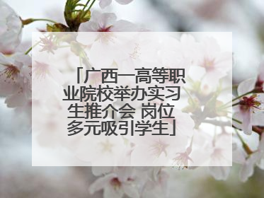 广西一高等职业院校举办实习生推介会 岗位多元吸引学生