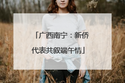 广西南宁：新侨代表共叙端午情