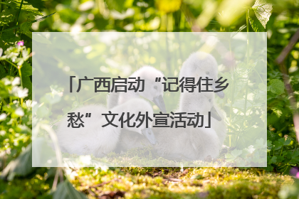 广西启动“记得住乡愁”文化外宣活动