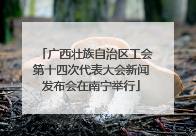 广西壮族自治区工会第十四次代表大会新闻发布会在南宁举行