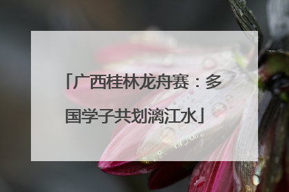 广西桂林龙舟赛：多国学子共划漓江水