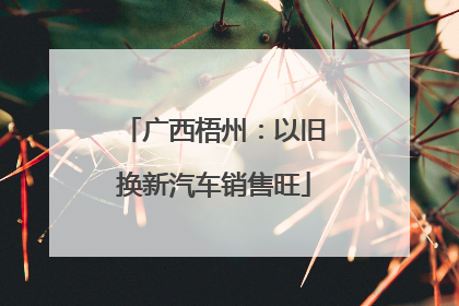 广西梧州：以旧换新汽车销售旺