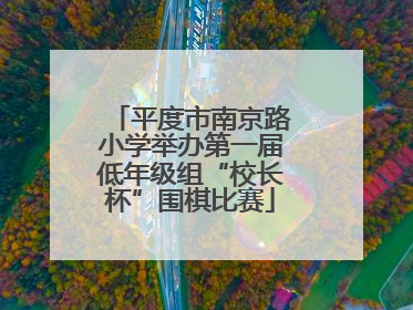 平度市南京路小学举办第一届低年级组“校长杯”围棋比赛
