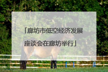 廊坊市低空经济发展座谈会在廊坊举行