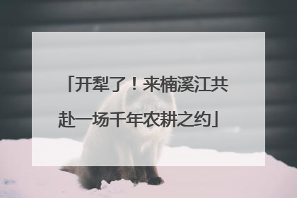 开犁了！来楠溪江共赴一场千年农耕之约