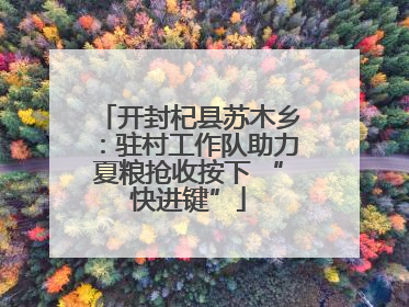 开封杞县苏木乡：驻村工作队助力夏粮抢收按下 “快进键”