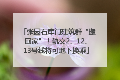 张园石库门建筑群“搬回家”！轨交2、12、13号线将可地下换乘