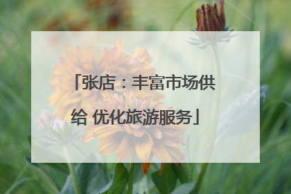 张店：丰富市场供给 优化旅游服务