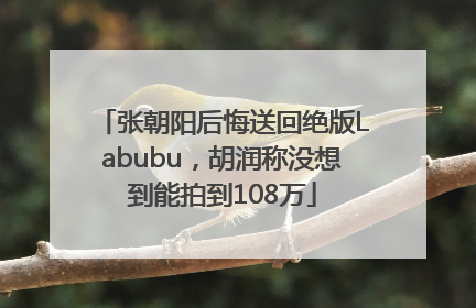 张朝阳后悔送回绝版Labubu，胡润称没想到能拍到108万
