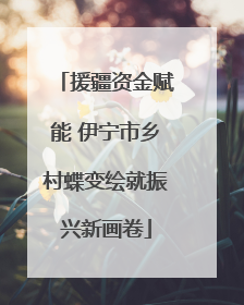 援疆资金赋能 伊宁市乡村蝶变绘就振兴新画卷