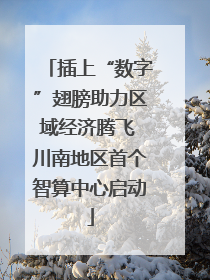 插上“数字”翅膀助力区域经济腾飞 川南地区首个智算中心启动