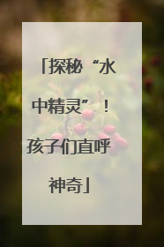 探秘“水中精灵”！孩子们直呼神奇