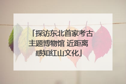 探访东北首家考古主题博物馆 近距离感知红山文化
