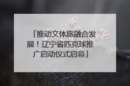 推动文体旅融合发展！辽宁省匹克球推广启动仪式启幕