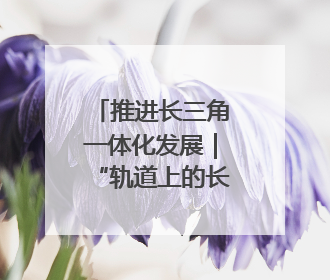 推进长三角一体化发展｜“轨道上的长三角”今年基本建成