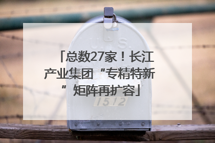 总数27家！长江产业集团“专精特新”矩阵再扩容