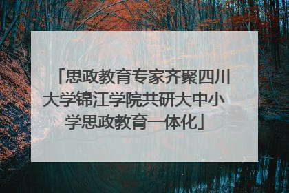 思政教育专家齐聚四川大学锦江学院共研大中小学思政教育一体化