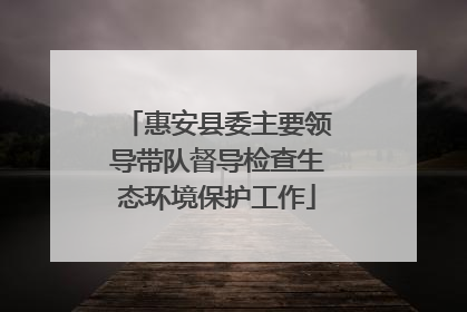 惠安县委主要领导带队督导检查生态环境保护工作