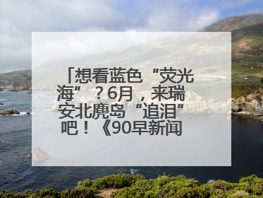 想看蓝色“荧光海”？6月，来瑞安北麂岛“追泪”吧！《90早新闻》来了