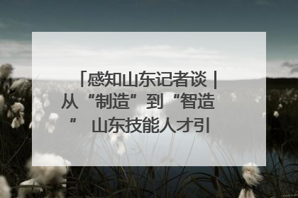 感知山东记者谈｜从“制造”到“智造” 山东技能人才引领产业升级