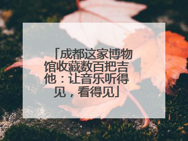 成都这家博物馆收藏数百把吉他：让音乐听得见，看得见