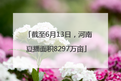 截至6月13日，河南夏播面积8297万亩