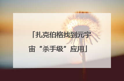 扎克伯格找到元宇宙“杀手级”应用