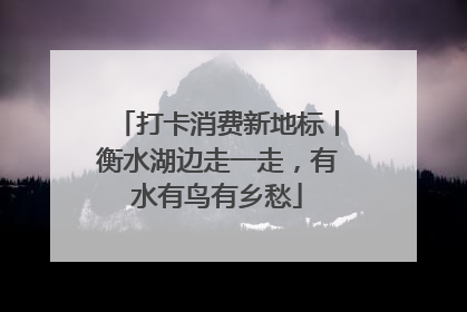 打卡消费新地标丨衡水湖边走一走，有水有鸟有乡愁
