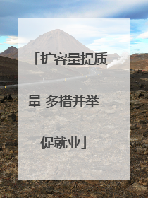 扩容量提质量 多措并举促就业