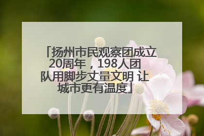 扬州市民观察团成立20周年，198人团队用脚步丈量文明 让城市更有温度
