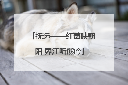 抚远——红莓映朝阳 界江听熊吟