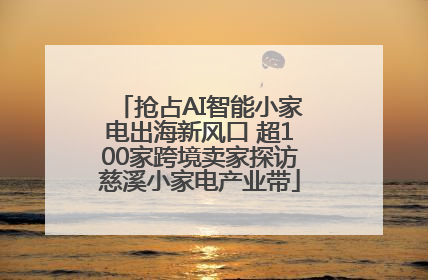 抢占AI智能小家电出海新风口 超100家跨境卖家探访慈溪小家电产业带