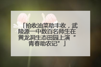 抢收油菜助丰收，武陵源一中数百名师生在黄龙洞生态田园上演“青春助农记”