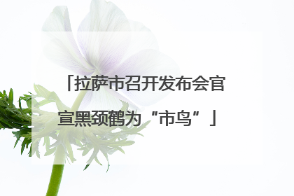 拉萨市召开发布会官宣黑颈鹤为“市鸟”